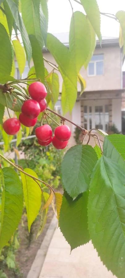 Abs Guest House Ош Екстер'єр фото